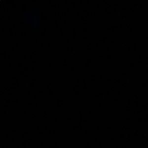 Meet your Posher, Camryn